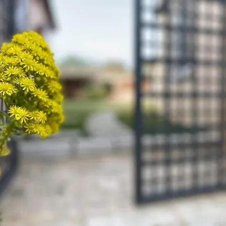 Exclusive Masia Notari Casabona *